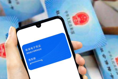 康平24小时医保套取实操指南：老司机分享高效安全操作流程